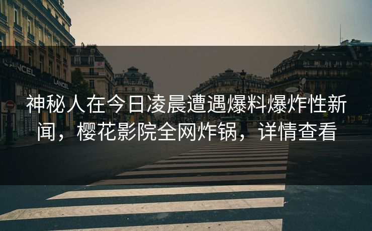 神秘人在今日凌晨遭遇爆料爆炸性新闻，樱花影院全网炸锅，详情查看